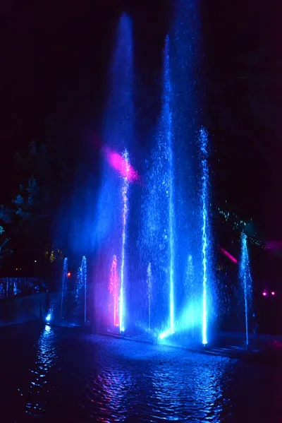 DSC_7050 (Large).JPG